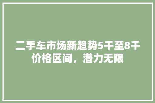 二手车市场新趋势5千至8千价格区间，潜力无限
