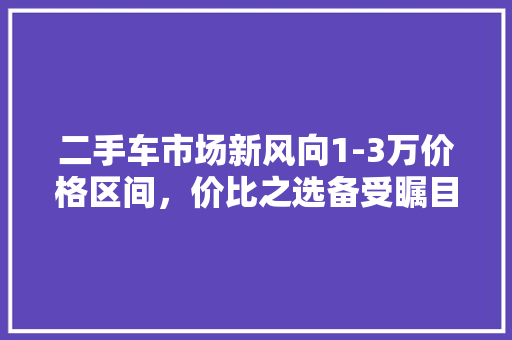 二手车市场新风向1-3万价格区间，价比之选备受瞩目