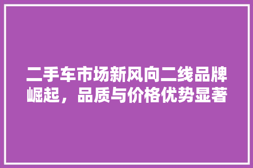 二手车市场新风向二线品牌崛起，品质与价格优势显著
