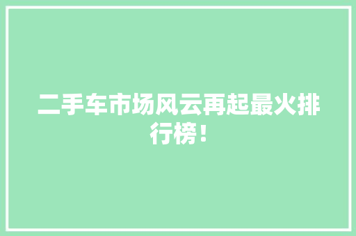 二手车市场风云再起最火排行榜！