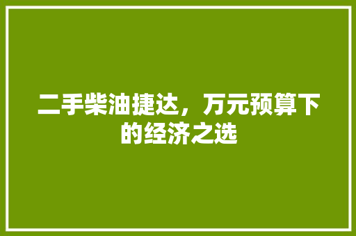 二手柴油捷达，万元预算下的经济之选