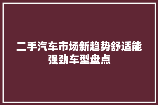 二手汽车市场新趋势舒适能强劲车型盘点