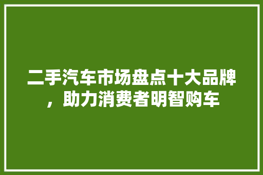 二手汽车市场盘点十大品牌，助力消费者明智购车