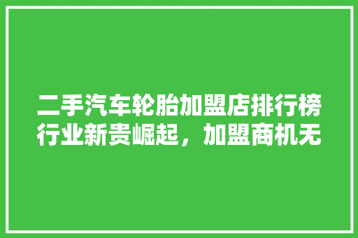 二手汽车轮胎加盟店排行榜行业新贵崛起，加盟商机无限