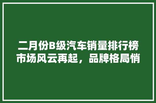 二月份B级汽车销量排行榜市场风云再起，品牌格局悄然生变