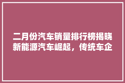 二月份汽车销量排行榜揭晓新能源汽车崛起，传统车企面临挑战