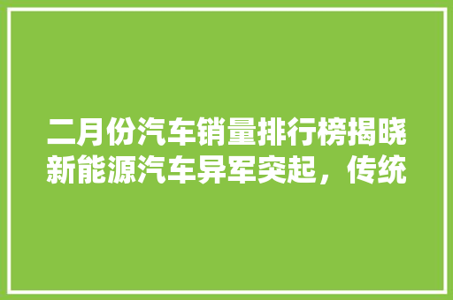 二月份汽车销量排行榜揭晓新能源汽车异军突起，传统燃油车面临挑战