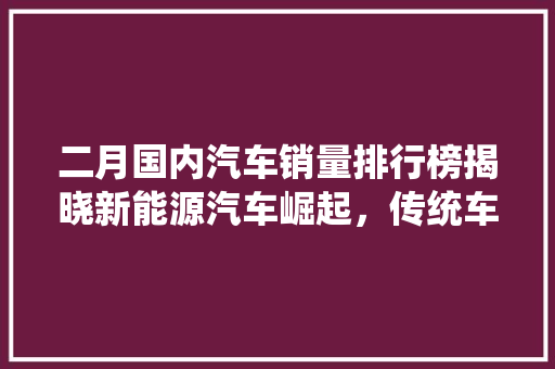 二月国内汽车销量排行榜揭晓新能源汽车崛起，传统车企再战江湖