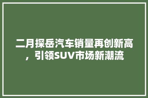 二月探岳汽车销量再创新高，引领SUV市场新潮流