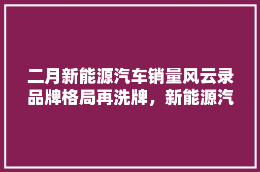 二月新能源汽车销量风云录品牌格局再洗牌，新能源汽车市场前景可期