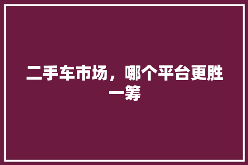 二手车市场，哪个平台更胜一筹