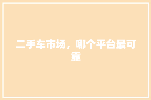 二手车市场，哪个平台最可靠