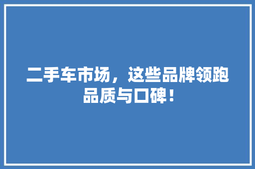 二手车市场，这些品牌领跑品质与口碑！