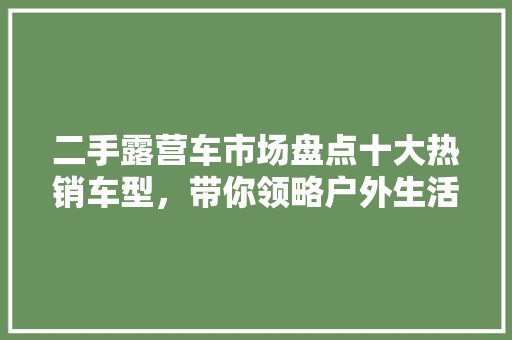 二手露营车市场盘点十大热销车型，带你领略户外生活新风尚