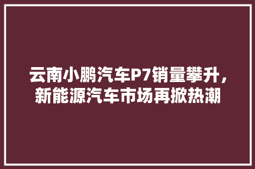 云南小鹏汽车P7销量攀升，新能源汽车市场再掀热潮