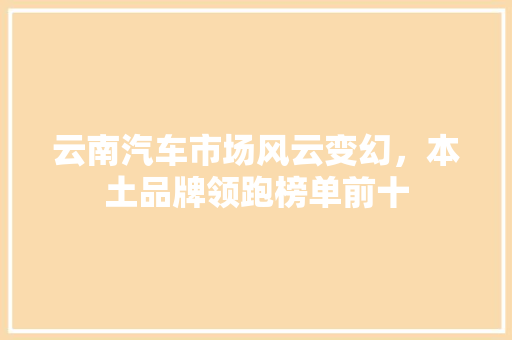 云南汽车市场风云变幻，本土品牌领跑榜单前十