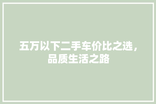 五万以下二手车价比之选，品质生活之路