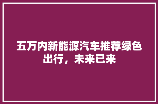 五万内新能源汽车推荐绿色出行，未来已来