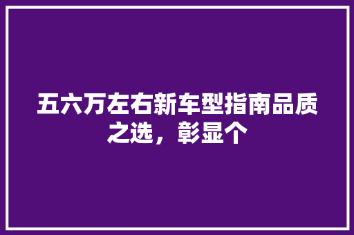 五六万左右新车型指南品质之选，彰显个