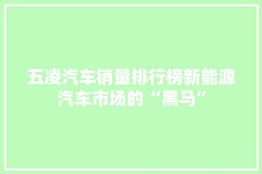 五凌汽车销量排行榜新能源汽车市场的“黑马”