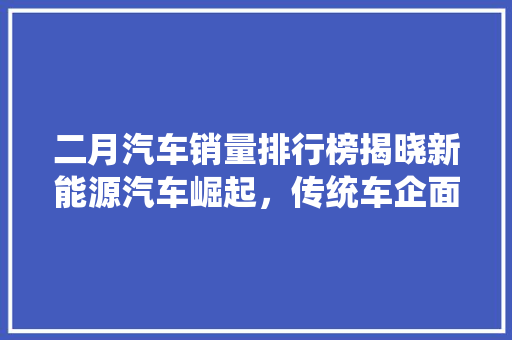 二月汽车销量排行榜揭晓新能源汽车崛起，传统车企面临挑战