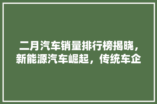 二月汽车销量排行榜揭晓，新能源汽车崛起，传统车企面临挑战