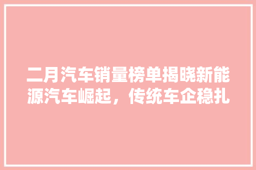 二月汽车销量榜单揭晓新能源汽车崛起，传统车企稳扎稳打