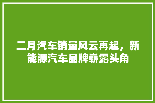 二月汽车销量风云再起，新能源汽车品牌崭露头角