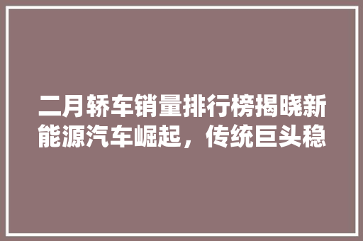 二月轿车销量排行榜揭晓新能源汽车崛起，传统巨头稳居前列