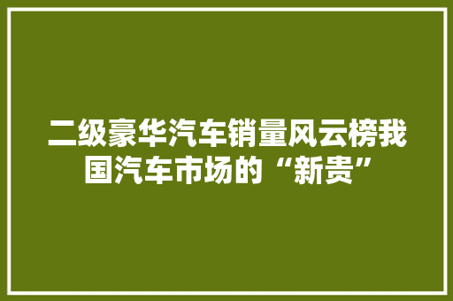 二级豪华汽车销量风云榜我国汽车市场的“新贵”