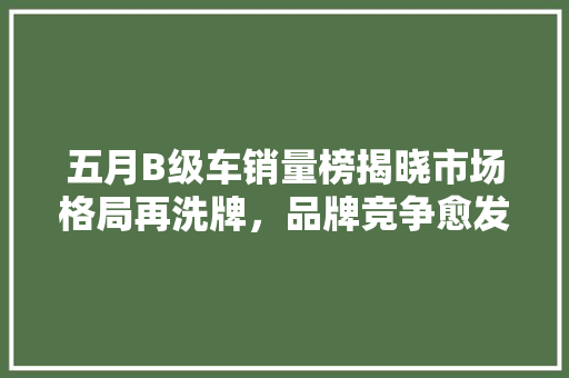 五月B级车销量榜揭晓市场格局再洗牌，品牌竞争愈发激烈