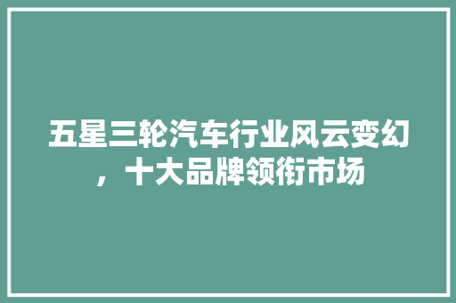 五星三轮汽车行业风云变幻，十大品牌领衔市场