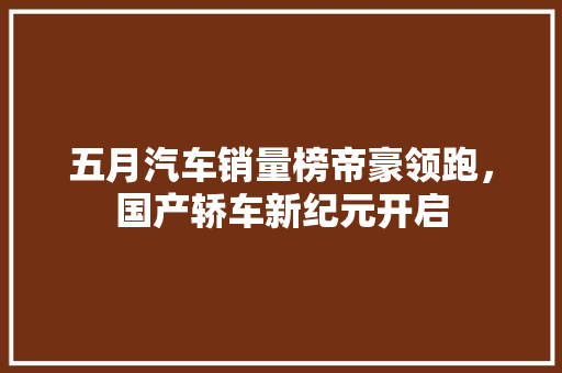 五月汽车销量榜帝豪领跑，国产轿车新纪元开启