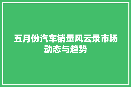 五月份汽车销量风云录市场动态与趋势