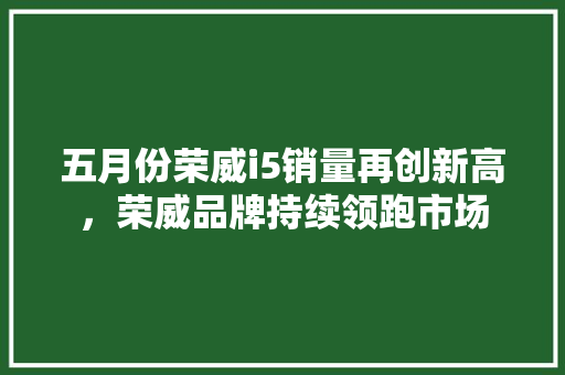 五月份荣威i5销量再创新高，荣威品牌持续领跑市场