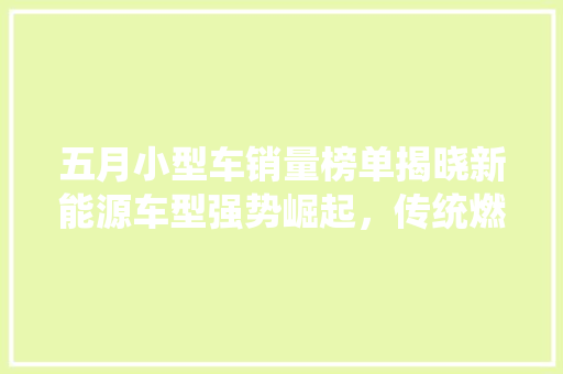 五月小型车销量榜单揭晓新能源车型强势崛起，传统燃油车面临挑战