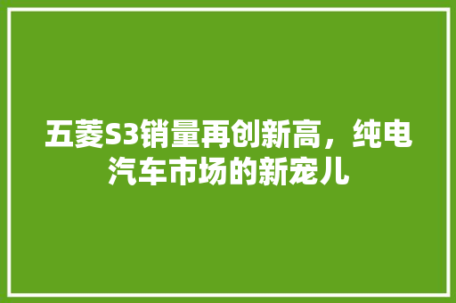五菱S3销量再创新高，纯电汽车市场的新宠儿