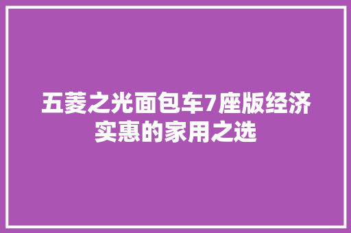 五菱之光面包车7座版经济实惠的家用之选