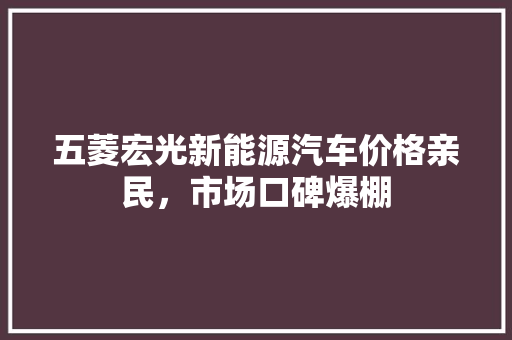 五菱宏光新能源汽车价格亲民，市场口碑爆棚