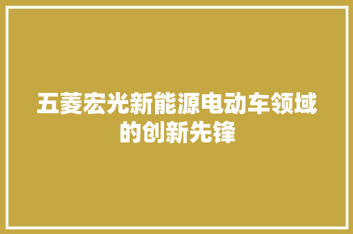 五菱宏光新能源电动车领域的创新先锋