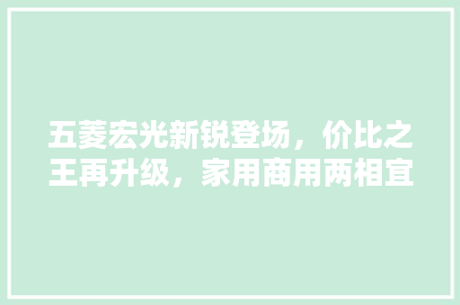 五菱宏光新锐登场，价比之王再升级，家用商用两相宜