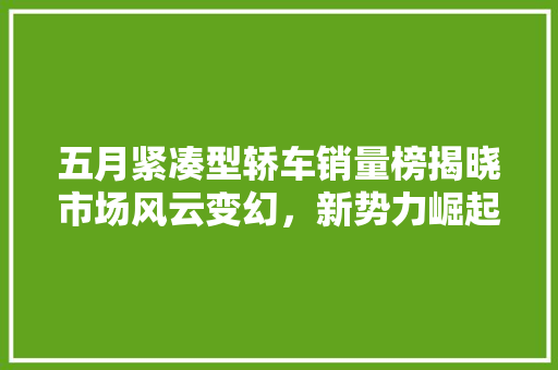 五月紧凑型轿车销量榜揭晓市场风云变幻，新势力崛起