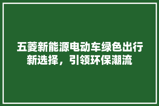 五菱新能源电动车绿色出行新选择，引领环保潮流