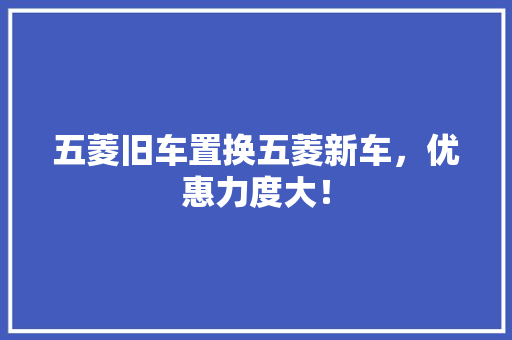 五菱旧车置换五菱新车，优惠力度大！
