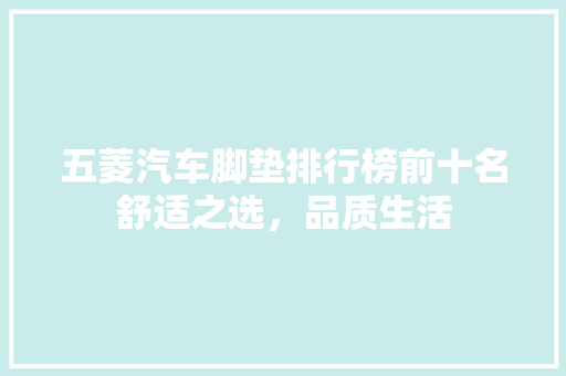 五菱汽车脚垫排行榜前十名舒适之选，品质生活