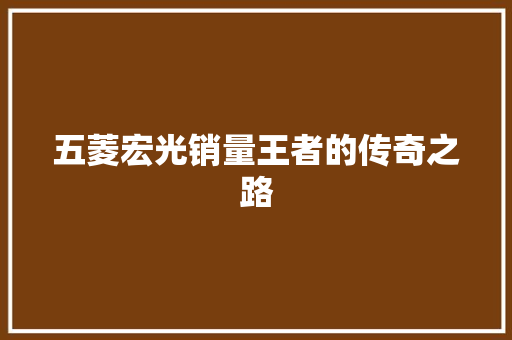 五菱宏光销量王者的传奇之路