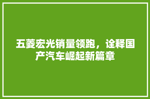 五菱宏光销量领跑，诠释国产汽车崛起新篇章