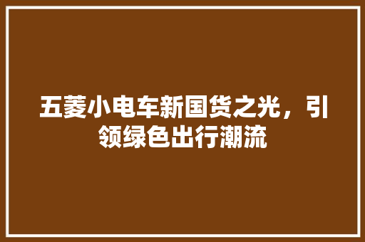 五菱小电车新国货之光，引领绿色出行潮流