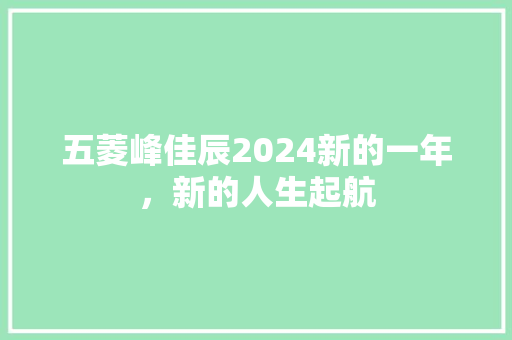 五菱峰佳辰2024新的一年，新的人生起航