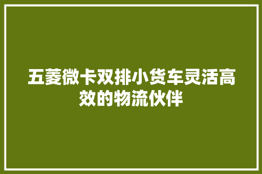 五菱微卡双排小货车灵活高效的物流伙伴